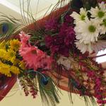 (Close Up of Floral Mandap)
I made each floral swag which was constructed with clusters of crysanthemums, carnations, alstroemeria, boronia heather, seeded eucalyptus and peacock feathers. ~